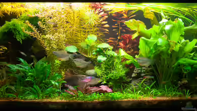 Mein 240er Gesellschaftsbecken von OttoKowalski