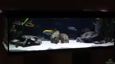 Mein Becken von StefanZ