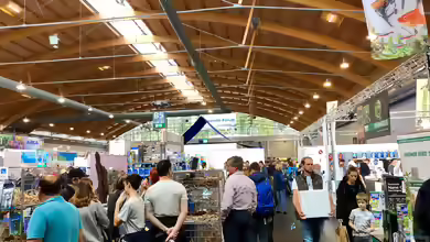 Mein Besuch auf der Aqua-Fisch in Friedrichshafen