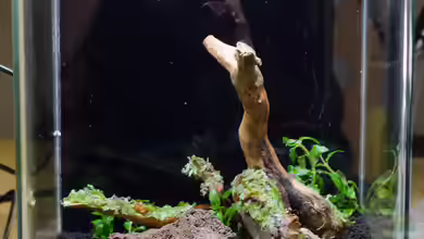 Mein EinesKleines von Julian H.