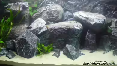 mein erstes Becken von Hedylein