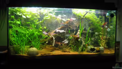 Mein Erstes von Ruppert