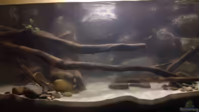 Mein erstes von Ca36du