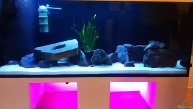 Mein Malawi Dream von Jens Peter Herrmann