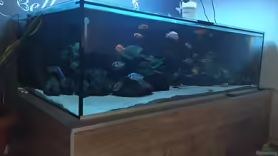 Mein Malawi von Milan1986