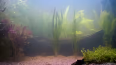 Mein Südamerika von Andreas Geitmann