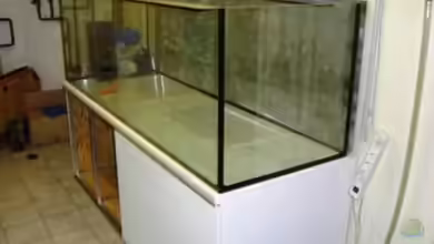 mein traum von breakfastklubber