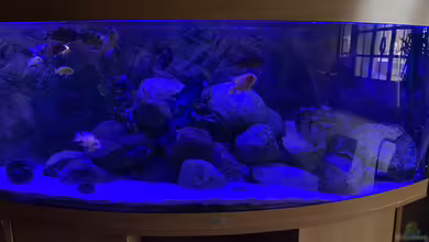 Meine Malawi Ecke von Mats Müller