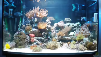 meine neuste Sucht! von muchta