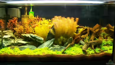 Meine Ruhezone von sascha74