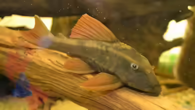 Mich@ on Tour: Ein Besuch bei OF Aquaristik