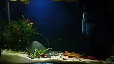 Micro Nano von Sale87