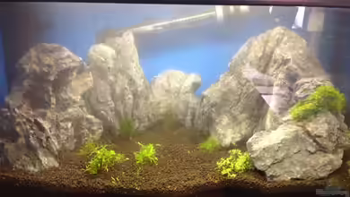 Minigebirge von chewi86