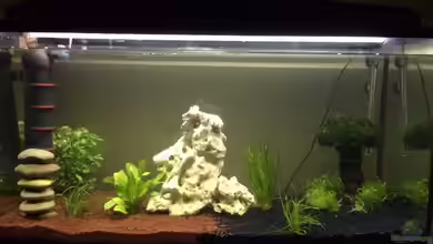 moderne Unterwasserwelt von Flipstar