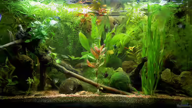 Monochrom von Flea78