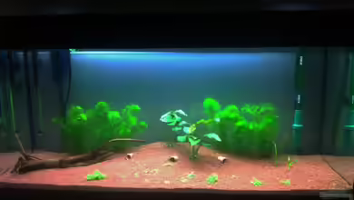 MP-scubaline 180 von Hotliner90