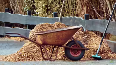 Mulch als Frostschutz: So schützen Sie Ihren Garten optimal vor kalten Temperaturen