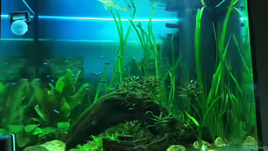 #MutterTochterProjekt von IL