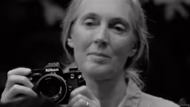 Nachruf - Jane Goodall (1934-2025)