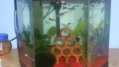 Nano 15L von Markus Pisarek