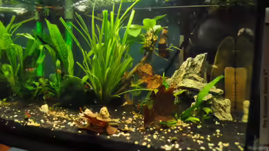 Nano Becken 20 Liter von Jonathan