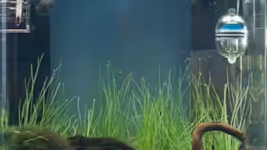 Nano Cube von DiePfützedesEisbergs