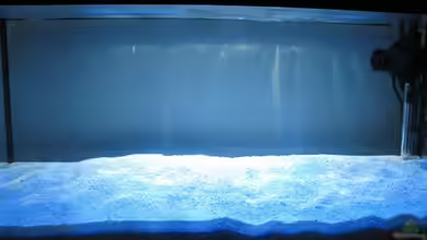 Nano Meerwasseraquarium von Mibado