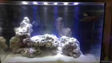 Nano Projekt Firma von kutlesch