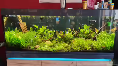 NATURE 2019 von Ronny Jacob