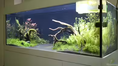 Neues Becken, neuer Versuch von Robbie