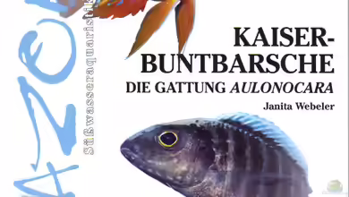 Neues Buch zu Kaiserbuntbarschen
