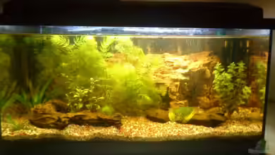 NICHT MEHR AKTIV von Iuke