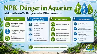 NPK-Dünger im Aquarium: Makronährstoffe richtig dosieren und Pflanzen gezielt versorgen