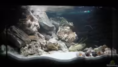 Nur noch als Beispiel von Delta