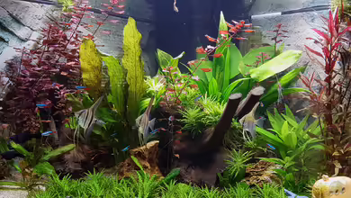 Nur noch als Beispiel von E2k