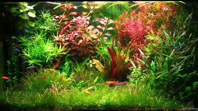 (nur noch als Beispiel) von Andreas Bauer