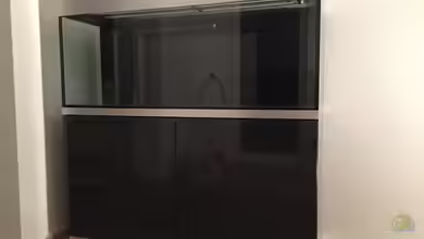 Oase Highline von christian