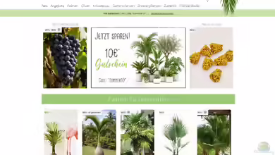Palmenmann.de: Der Onlineshop für Palmen, mediterrane Pflanzen und außergewöhnliches Grün
