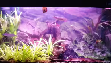 Pfütze (existiert nicht mehr) von Sebastian Philipp