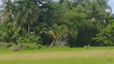Philippinen
