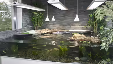 Preisvergleich: Aquarium oder Terrarium