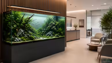 Professionelles Aquascaping für Büros und Praxen: Repräsentative Aquarien für moderne Arbeitswelten