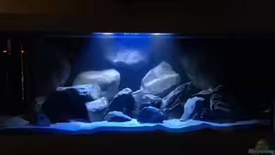 Project Malawi Vol. 1 von Bremerhavener