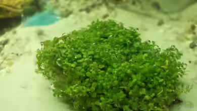 Projekt Einstieg von Maggie Blue