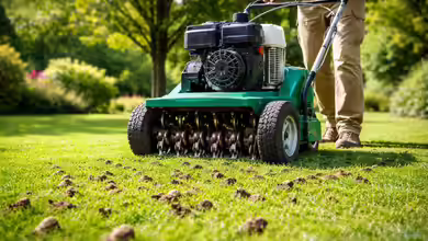 Rasen aerifizieren: Der umfassende Praxisleitfaden für dauerhaft gesunden Rasen