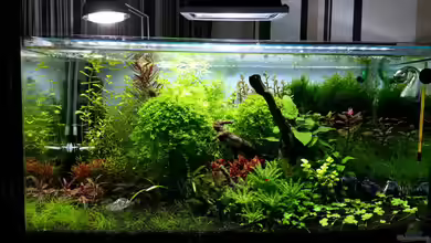 Red/Blue/Green von Markus93