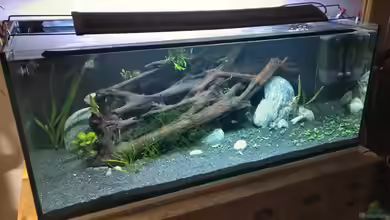 Refugium von Mike Steidl