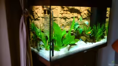 rio 125 von Patrick Koch