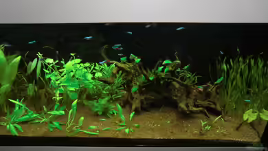 Rio 180 als Raumteiler von Anna S. B.