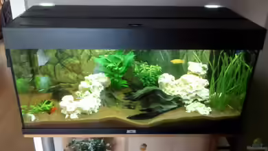 Rio 180 von Marcus Egeling